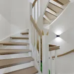 Levi